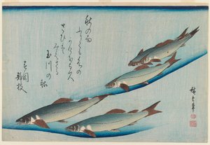 Escuela de cinco truchas de la serie Peces, c.1835 de Utagawa Hiroshige