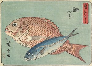 Pargo y Caballa, 1830-1844