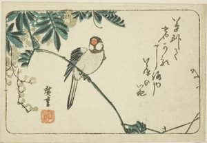 Gorrión y glicinia de Utagawa Hiroshige