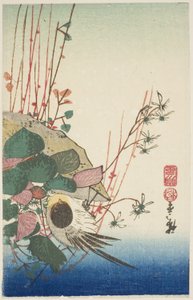 Gorrión en una Maceta Colgante de Utagawa Hiroshige