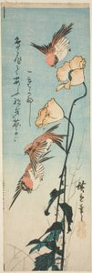 Gorriones y amapolas de Utagawa Hiroshige
