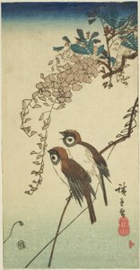 Gorriones y glicinas de Utagawa Hiroshige