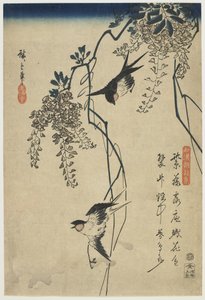 Golondrinas volando a través de vides de glicinia, 1837-44