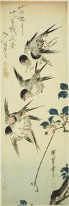 Golondrinas y rama floreciente de Utagawa Hiroshige