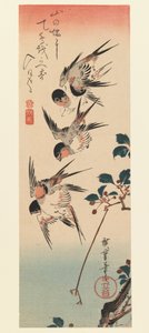Tanzaku, Cuatro golondrinas, 1832 de Utagawa Hiroshige