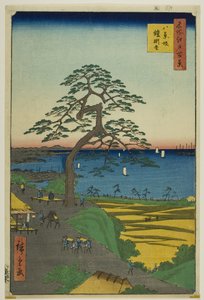 El Pino Colgante de Armadura en Hakkeizaka (Hakkeizaka Yoroikakematsu), de la serie "Cien Vistas Famosas de Edo (Meisho Edo hyakkei)" de Utagawa Hiroshige