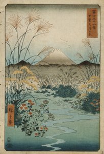  de Utagawa Hiroshige