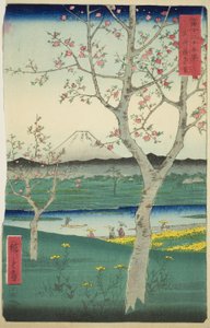 Los alrededores de Koshigaya en la provincia de Musashi (Musashi Koshigaya zai), de la serie "Treinta y seis vistas del monte Fuji (Fuji sanjurokkei)"