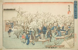 El jardín de ciruelos en Komeido (Kameido ume yashiki no zu), de la serie "Lugares Famosos en la Capital Oriental (Toto meisho)" de Utagawa Hiroshige