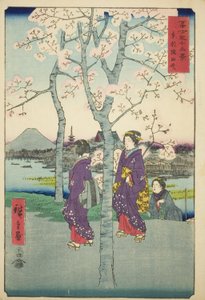 El terraplén de Sumida en la Capital Oriental (Toto Sumida-zutsumi), de la serie "Treinta y seis vistas del Monte Fuji (Fuji sanjurokkei)" de Utagawa Hiroshige