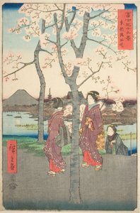 El terraplén de Sumida en la capital oriental, de la serie "Treinta y seis vistas del monte Fuji"