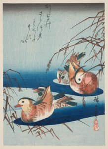 Dos Parejas de Patos Mandarines