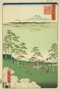 Vista al norte desde la colina Asuka (Asukayama kita no chobo), de la serie "Cien vistas famosas de Edo (Meisho Edo hyakkei)" de Utagawa Hiroshige