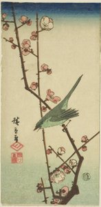 Curruca en rama de ciruelo de Utagawa Hiroshige