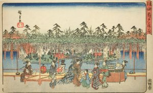 Glicinas en Kameido (Kameido Tenjin fuji hana), de la serie "Lugares famosos en la capital oriental (Toto meisho)" de Utagawa Hiroshige