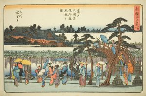 Glicinas en plena floración en los recintos del Santuario Kameido Tenmangu, de la serie "Lugares famosos recién seleccionados en Edo"