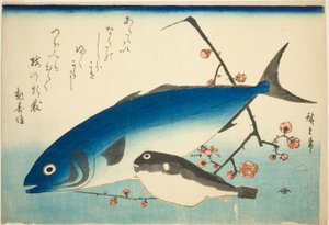 Cola amarilla, pez globo y rama de ciruelo de Utagawa Hiroshige