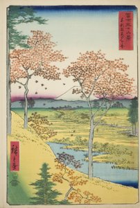 Colina Yuhi en Meguro en la capital oriental (Toto Meguro Yuhigaoka), de la serie "Treinta y seis vistas del Monte Fuji (Fuji sanjurokkei)"