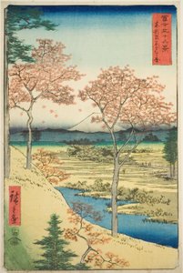 Colina Yuhi en Meguro en la Capital del Este (Toto Meguro Yuhigaoka), de la serie "Treinta y seis vistas del Monte Fuji (Fuji sanjurokkei)" de Utagawa Hiroshige