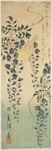 Canario y glicinia de Utagawa Hiroshige II