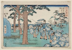 Observación de cerezos en flor en la colina Asuka de Utagawa II Hiroshige