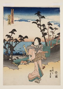 Vista de Shirasuka