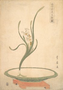 Arreglo Floral de Narcisos Suisen en un Plato Verde Plano de Utagawa Toyohiro