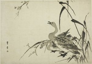 Gansos salvajes y juncos de Utagawa Toyohiro