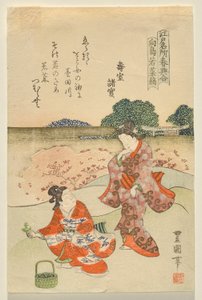 Recolección de hierbas en Mukōjima, de la serie Famosos sitios de Edo en primavera de Utagawa Toyokuni II