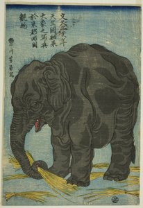 Imagen de gran elefante de la India (Tenjiku hakurai dai zo no shashin), una atracción en Ryogoku en la capital oriental (Toto Ryogoku mimono) de Utagawa Yoshikazu