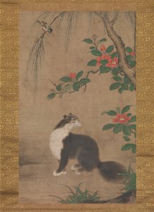 Gato almizclero, segunda mitad del siglo XVI