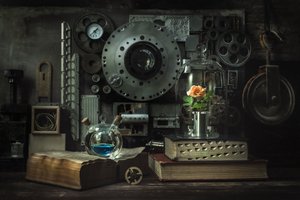 Estudio de la rosa steampunk