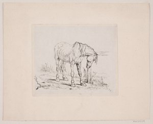 Un caballo viejo de Valdemar Irminger