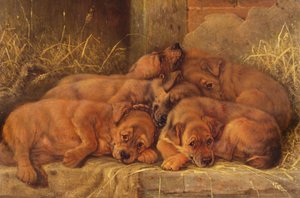 Amor de cachorro de Valentine Thomas Garland