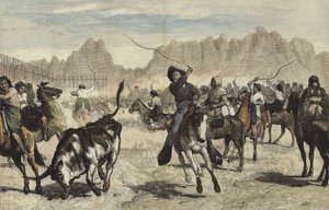 Conduciendo ganado a un corral, Nebraska de Valentine Walter Lewis Bromley