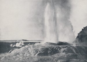 Géiser, Nueva Zelanda, 1924 de Valentine and Sons Ltd