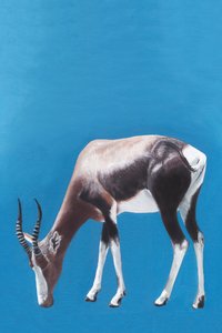 Blesbok pastando en el azul