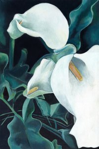 Elegantes calas blancas de Viccy Wanliss