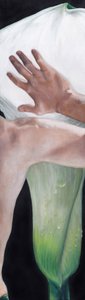 Mano tocando una cala