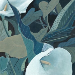 Serenas calas
