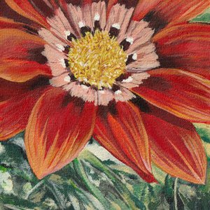 Flor de color naranja intenso de Viccy Wanliss