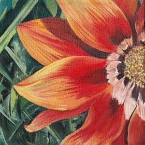 Flor de color naranja intenso de Viccy Wanliss