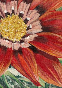 Flor de color rojo intenso de Viccy Wanliss