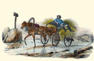 Le Paysan Russe. en Album Grotesque, Choices of Outstanding Types, ilustraciones de Victor Adam, París, circa 1850 de Victor Adam