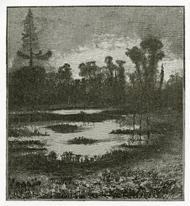 Les Chants du Crépuscule, Siglo XIX de Victor Hugo