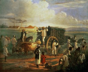 El molino de Caná de Victor Patricio Landaluce