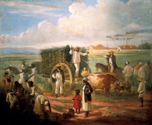 Cosecha de caña. Pintura de Víctor Patricio de Landaluze (1829-1889) de Victor Patricio de Landaluze