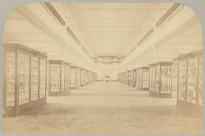 Pl. III. Historia principal: Pájaros de Victor Prevost, Gaston L. Feuardent and Co., New York