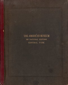 El álbum fotográfico del Museo Americano de Historia Natural, Central Park, Ciudad de Nueva York de Victor Prevost, Gaston L. Feuardent and Co., New York