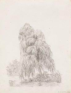 Árbol de hoja ancha de Victoria Åberg